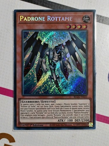 Padrone rottame - (junk, meister)